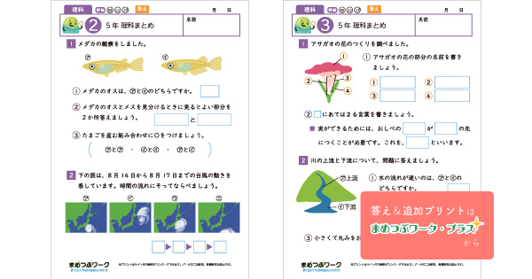 小5・理科の総まとめプリント｜無料ダウンロード | まめつぶワーク
