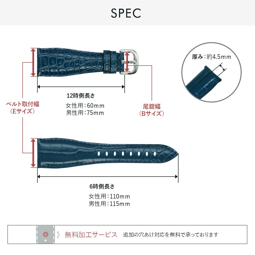 CASSIS カシス TYPE GGM タイプ ジージーエム カーフ 牛革 時計ベルト