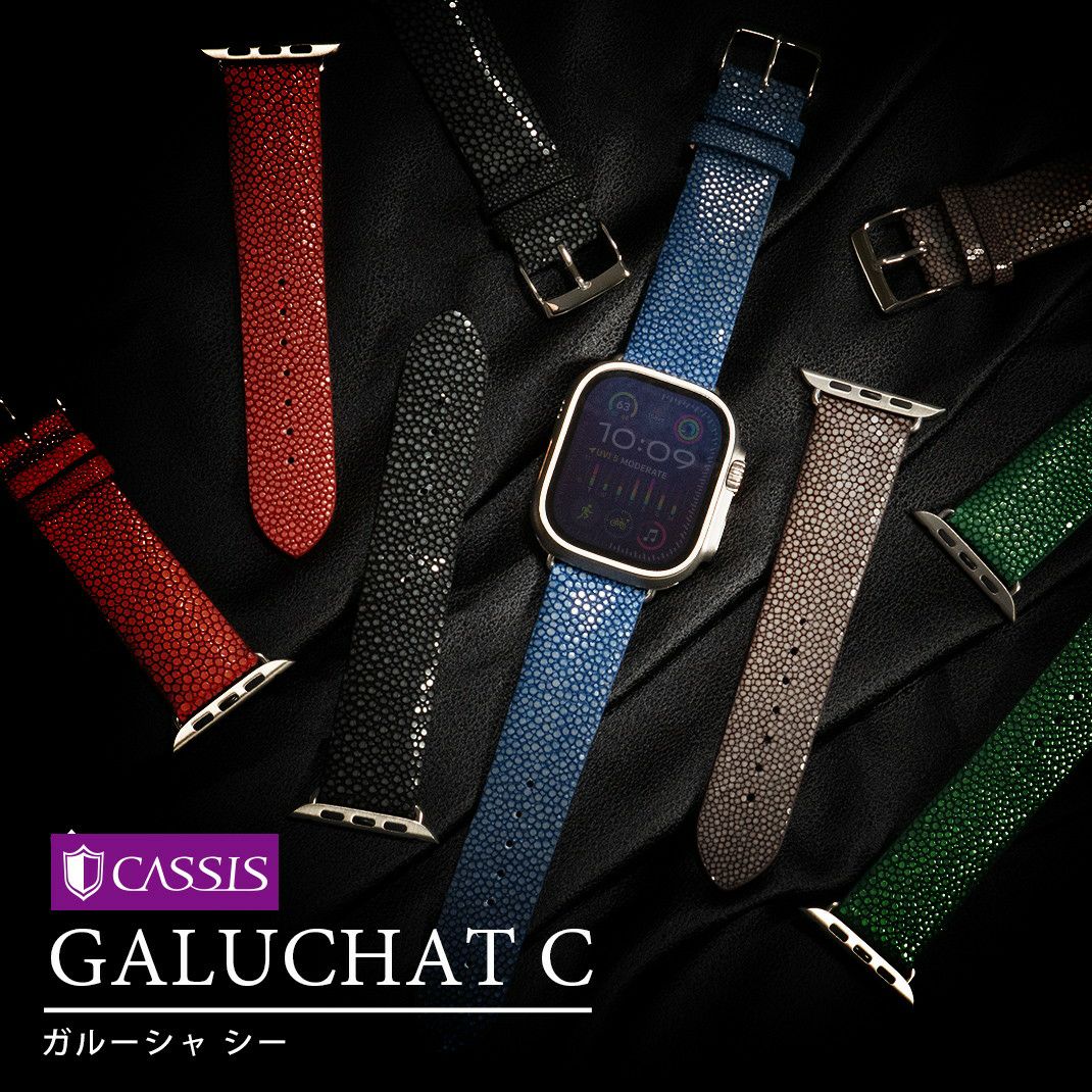 CASSIS カシス GALUCHAT C ガルーシャ カウチック エイ革 アップル
