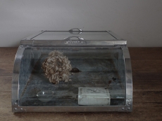 レトロ お菓子ケース ブリキ 一つ ガラス一枚無し H02248 昭和レトロ