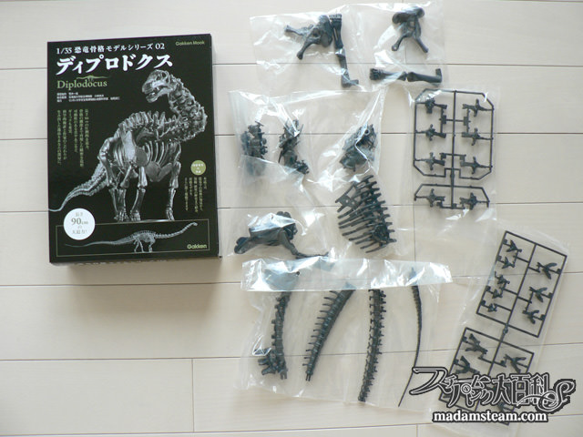 私の恐竜骨格標本コレクション・巨匠荒木一成氏のリアルプラモデル