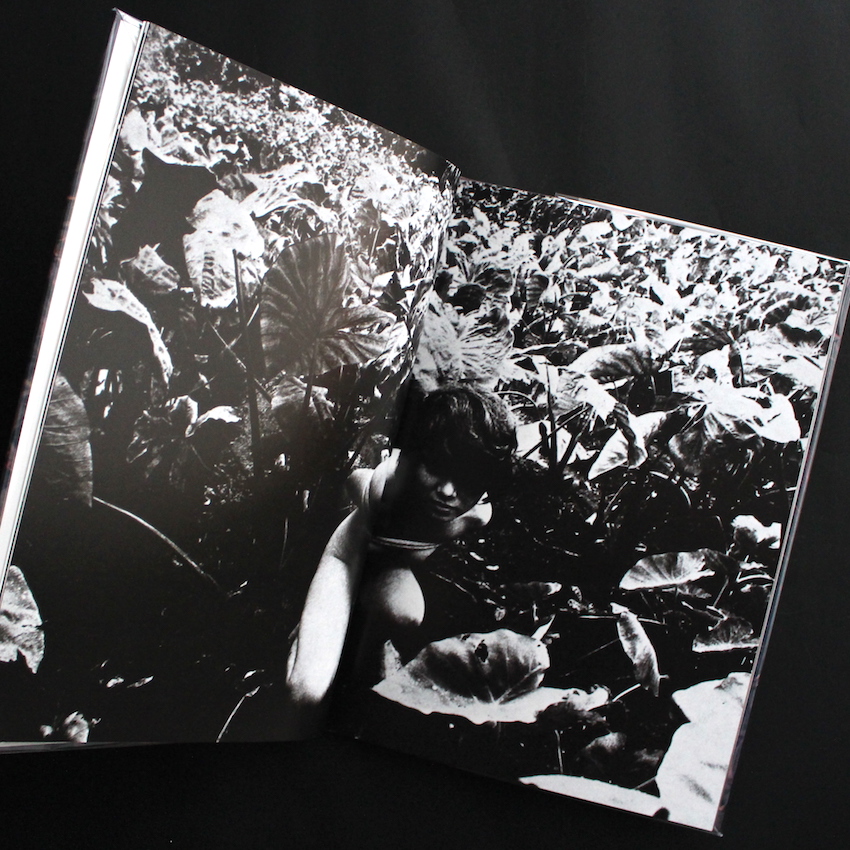 Kagero & Colors（Unopened） - 森山 大道 / Daido Moriyama