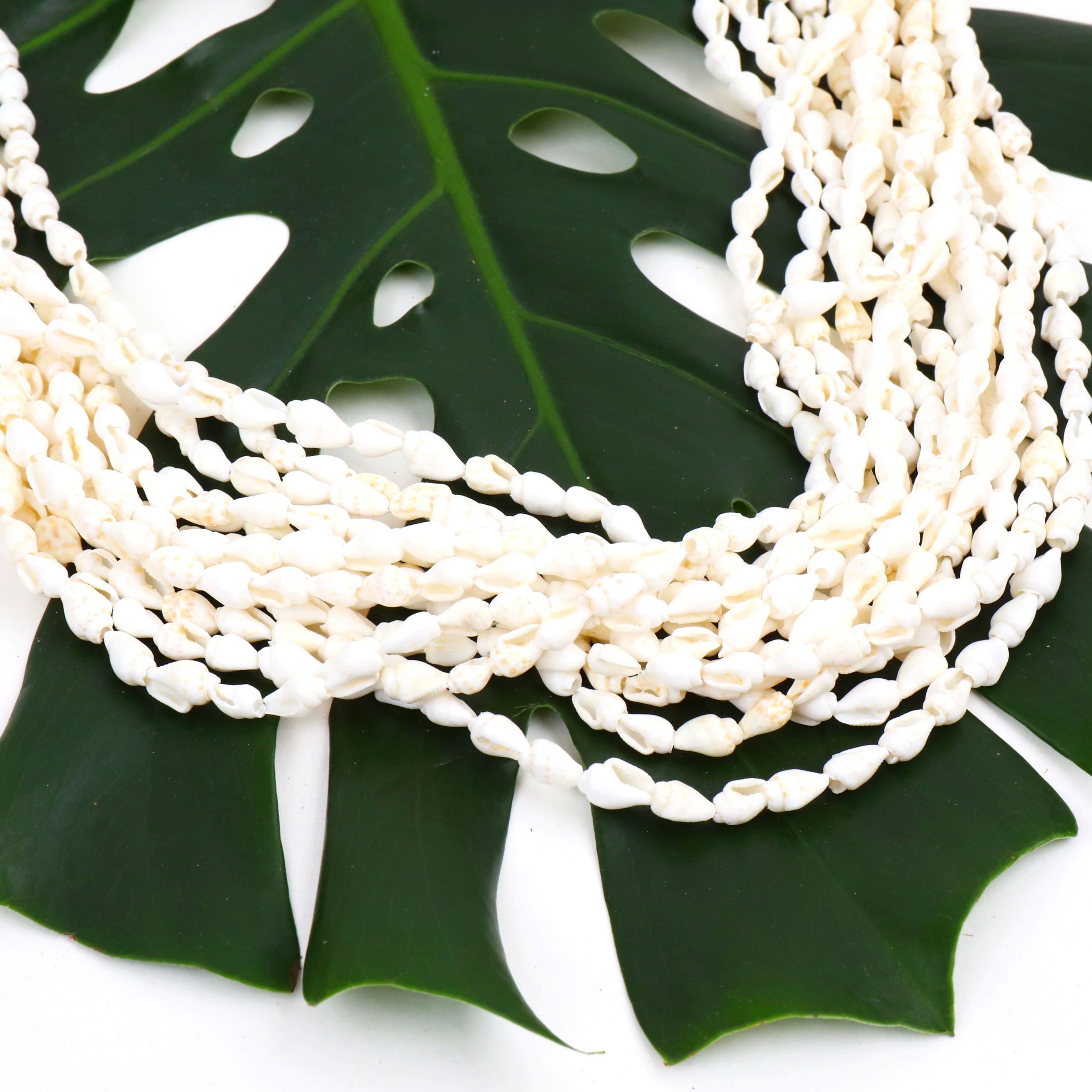 ナサシェルレイ 12連ショート/ロング – MAHANA-SHOP タヒチアンダンス