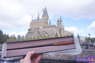 ギンヨウボダイジュ（Silver Lime）の杖 新マジカル・ワンド