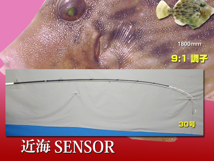 カスタムロッド製作 舞網工房 / 特価 カワハギロッド 9:1 専用調子