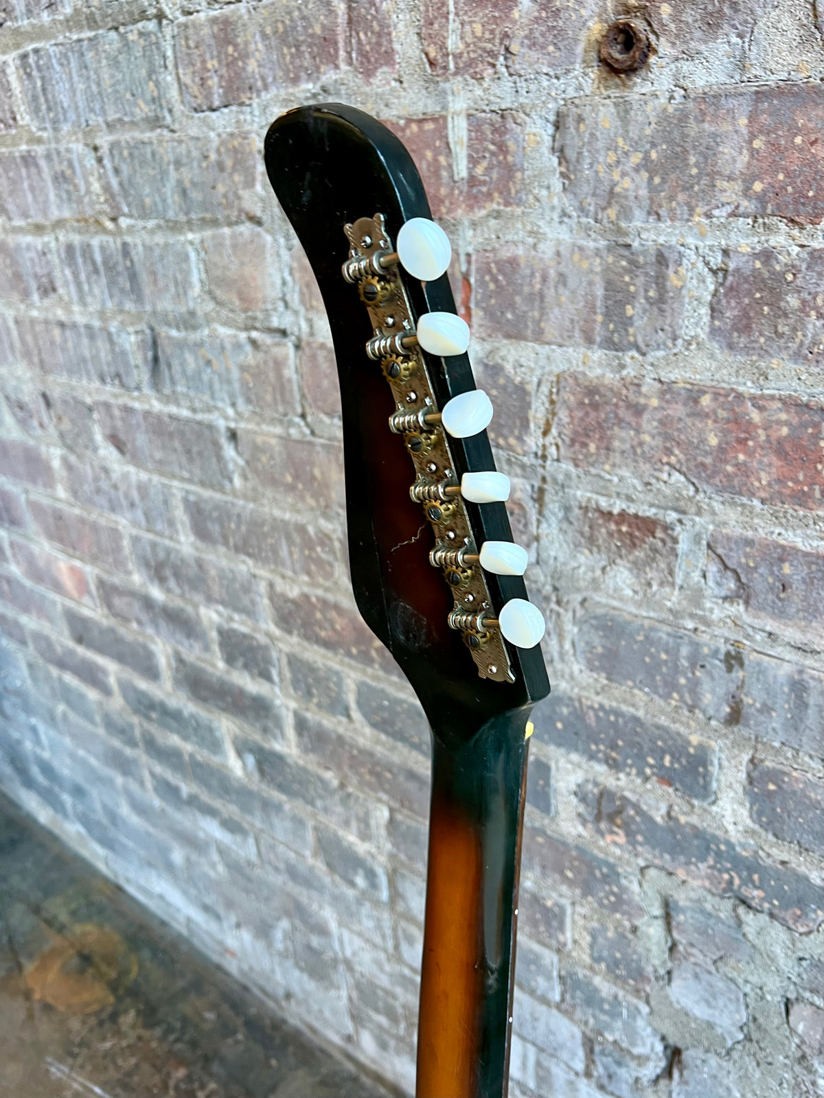 IMG_6950_1200x.heic?v=1707172371