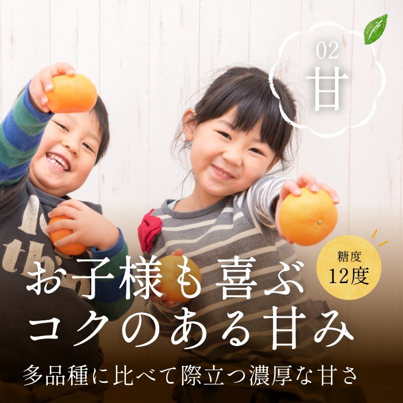 三ケ日濃厚熟みかん「青島」4kg(S～3Lサイズ)（優品相当） - 浜名湖