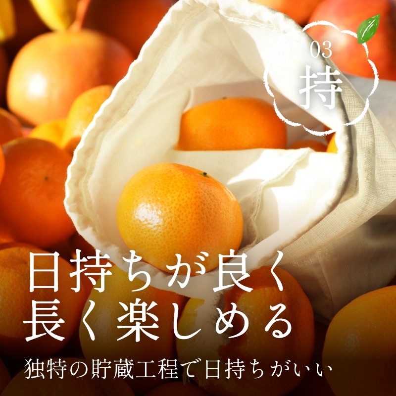 三ケ日濃厚熟みかん「青島」4kg(S～3Lサイズ)（優品相当） - 浜名湖