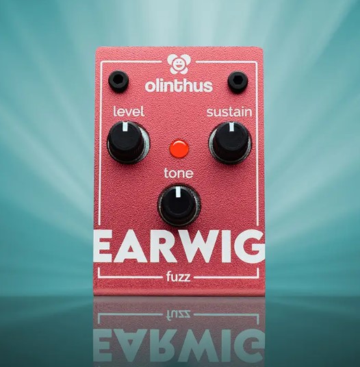 Olinthus オリンサス / EARWIG ファズ【国内正規品】【渋谷店