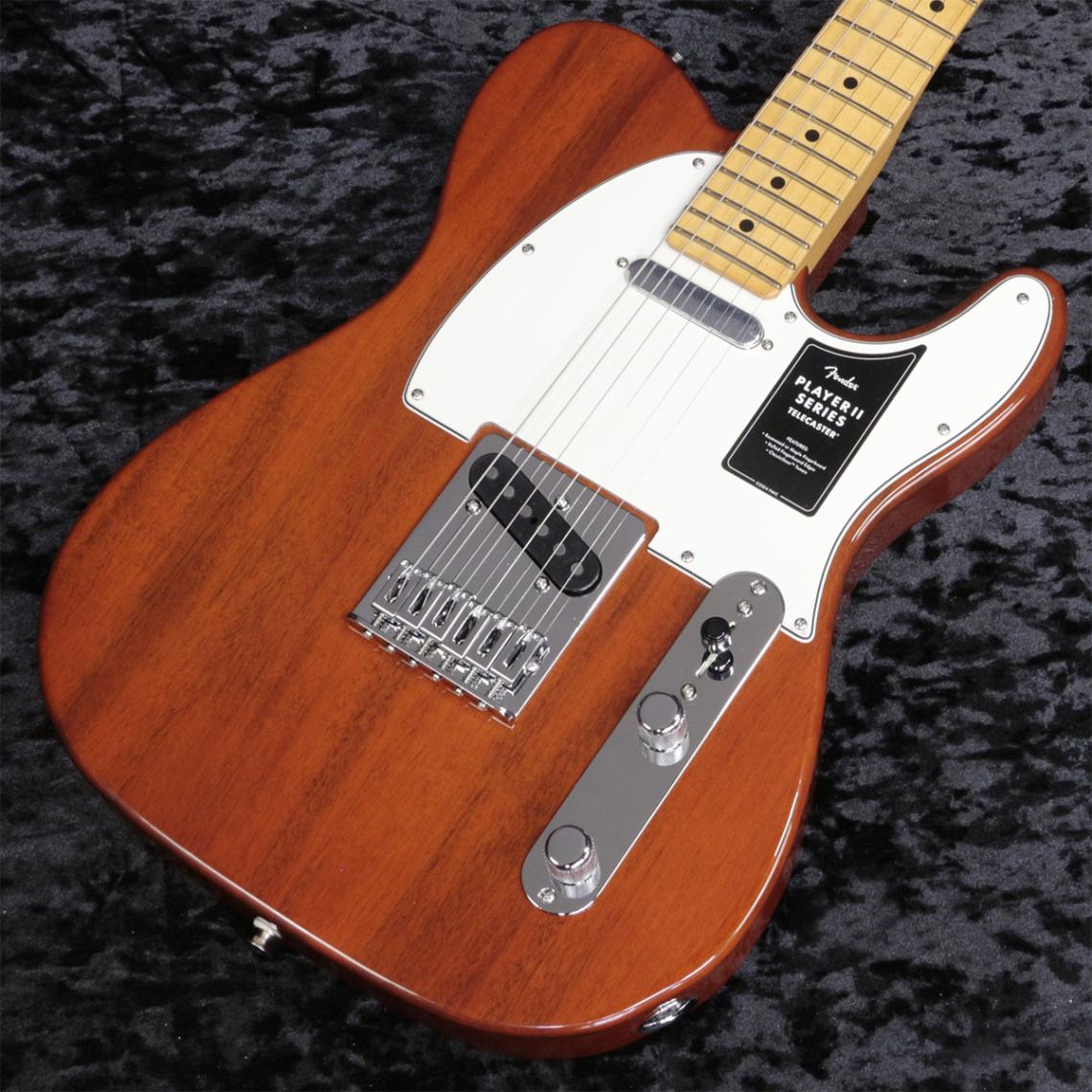 Telecaster (テレキャスタータイプ × FENDER MEXICO × ブラウン)の検索