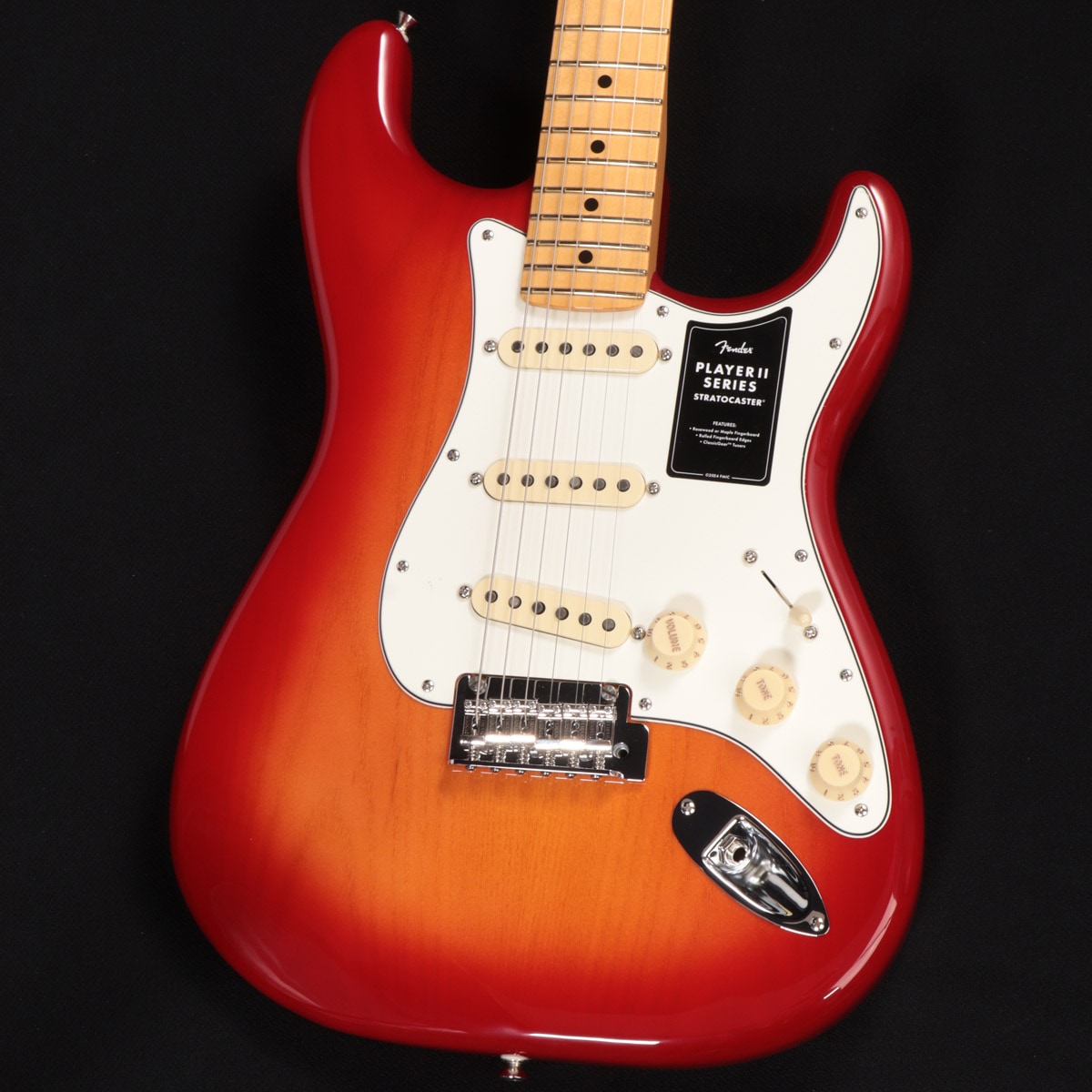 ストラトキャスタータイプ × FENDER MEXICO 他2条件)の検索結果