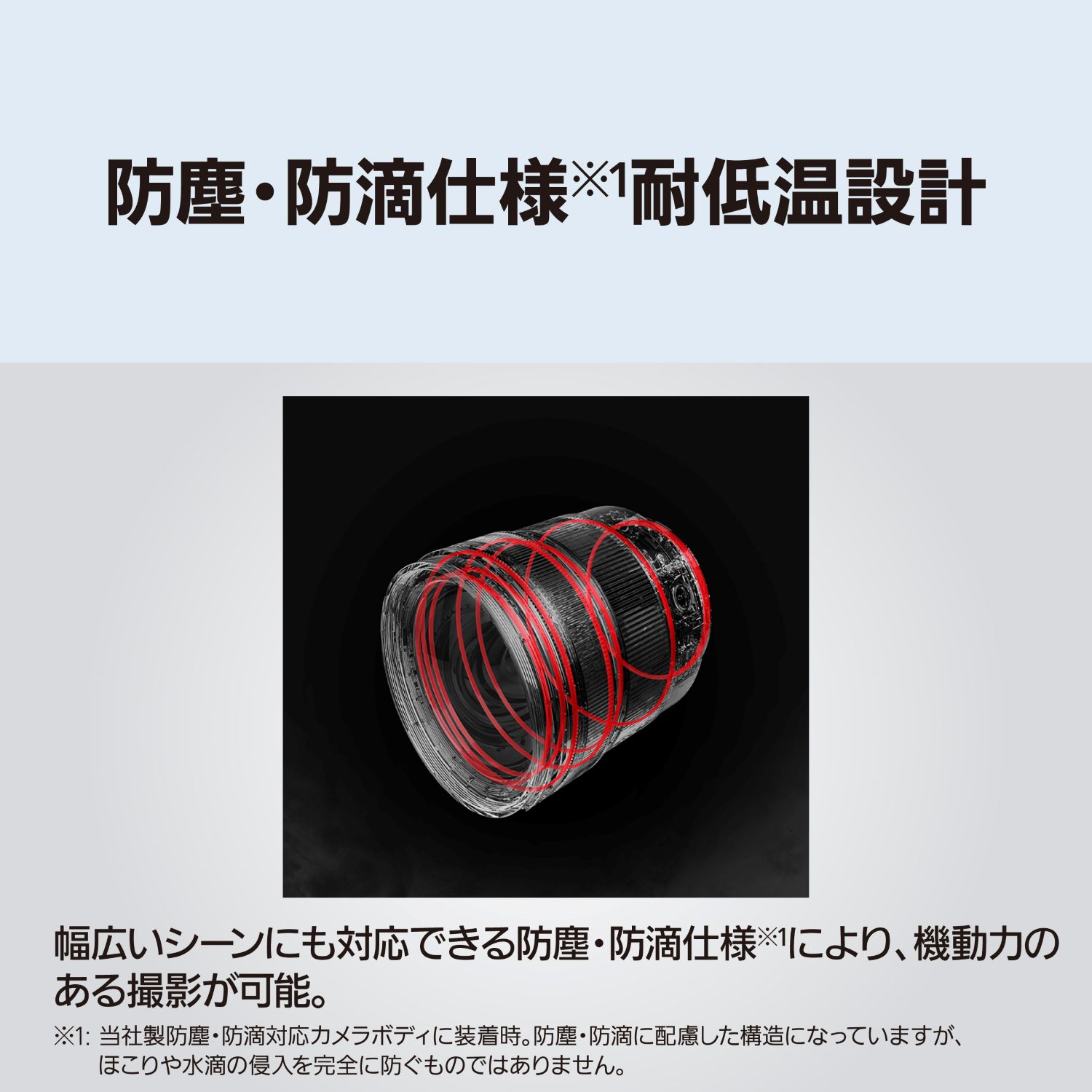 Panasonic パナソニック LUMIX S PRO 24-60mm F2.8（S-E2460） L