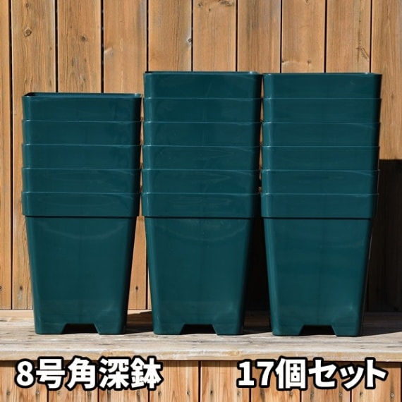 8角×17鉢セット】プレミアローズセレクション【8号角深鉢17鉢セット