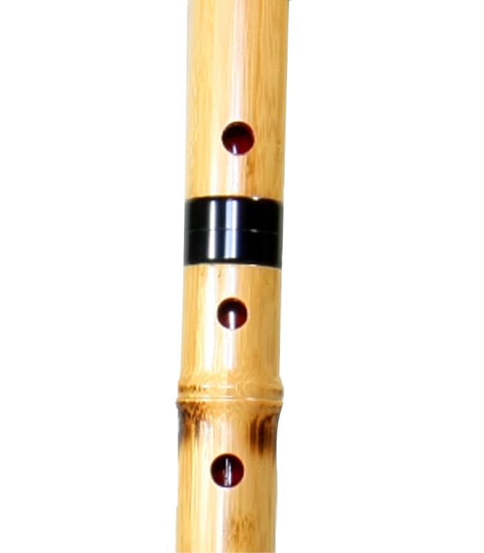 蝴蝶宝 尺八 合竹 直管 節あり 継ぎ手あり 1尺9寸 2尺 正律管 （0103