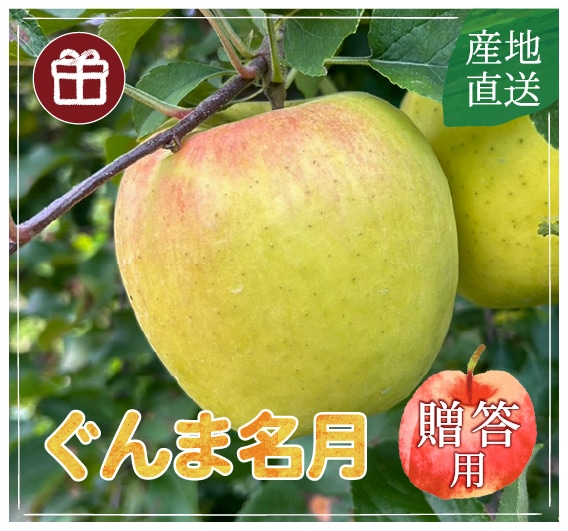 ぐんま名月〔贈答用〕 | すべての商品 | 信州〈長野〉より産直通販