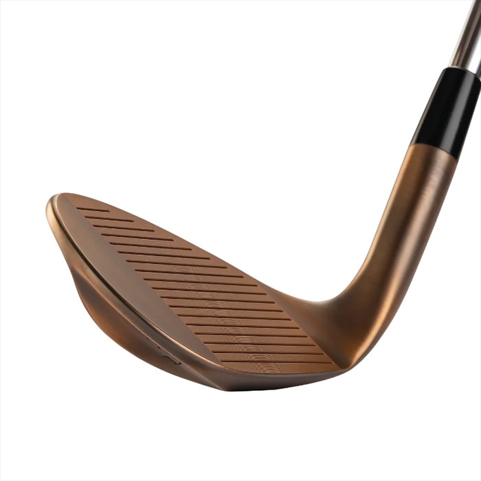 ヘッド単体】Kasco DOLPHIN WEDGE DW-123 Copper キャスコ ドルフィン