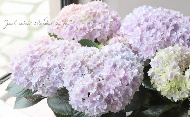 紫陽花 『星雲-セイウン-』 マーブル | すべての商品 | | Junk sweet