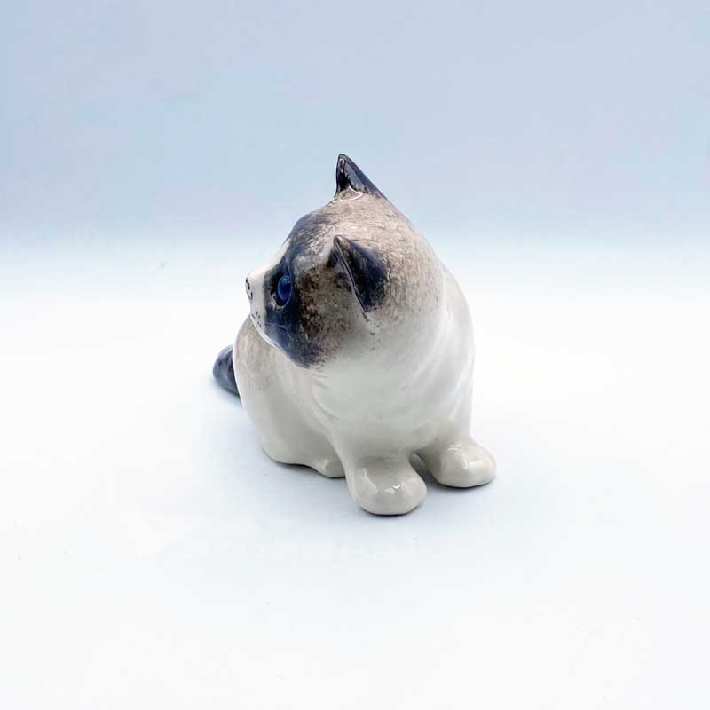 ウィンスタンレイキャット たぬきっぽいシャム猫ちゃん ブルーアイズ