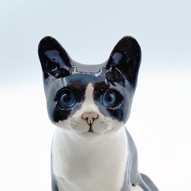 ウィンスタンレイキャット ブルーアイの黒白ハチワレ サイズ2