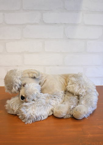 ドイツ製 シュタイフ社 ヴィンテージ プードル | テディベア