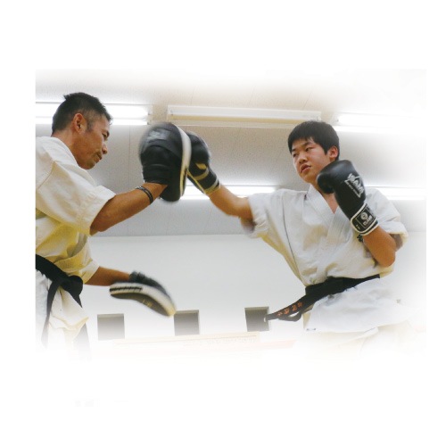 FS-10 パンチングミットTS | ミット,パンチングミット | | 格闘技プロ