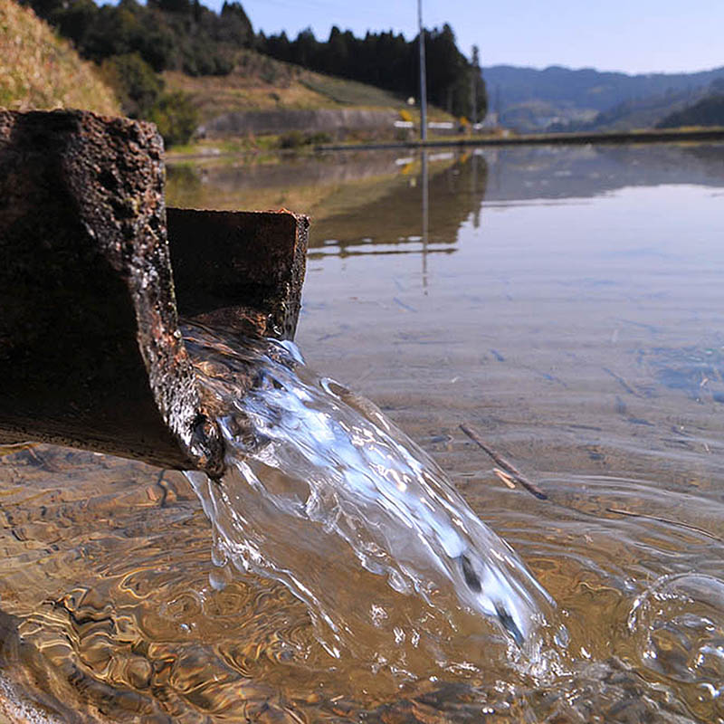 本山町農業公社 天空の郷にこまる5㎏（2025年度産）｜土佐うまいもの