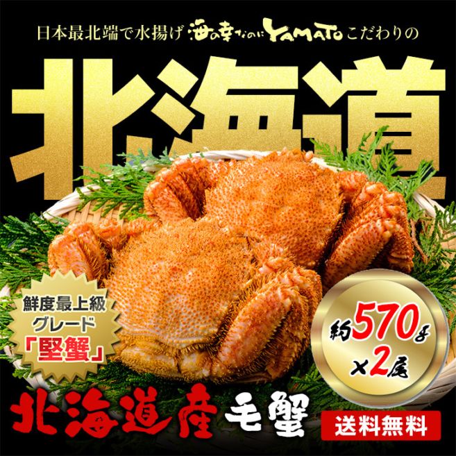 海の幸なのにYAMATO 公式通販サイト 北海道産 毛蟹 570gサイズ×2尾入