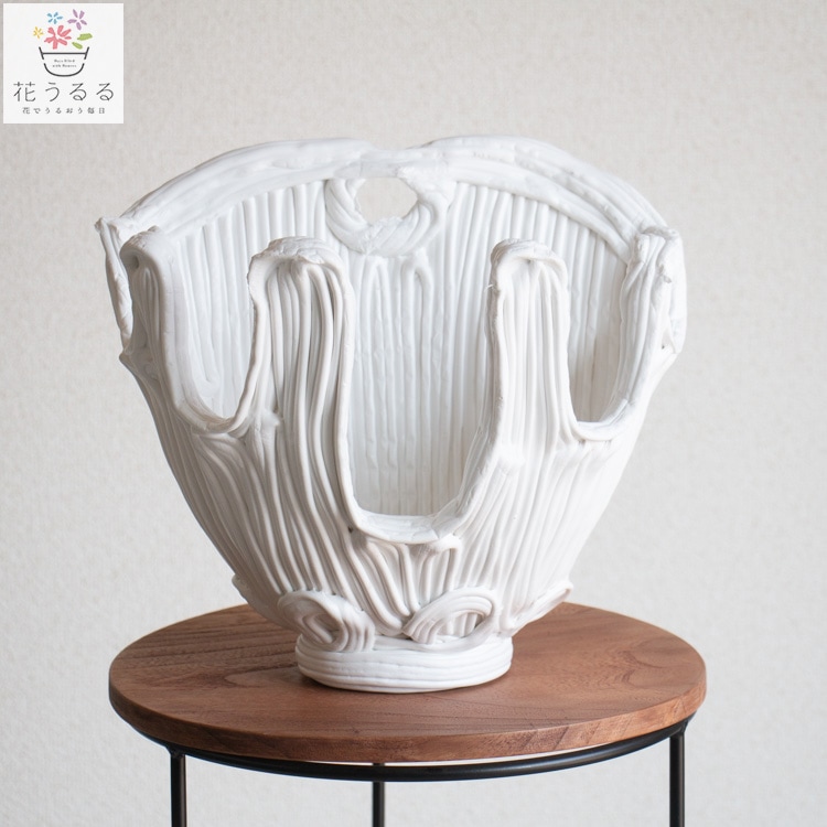 新 綱木紋（つなきもん）鉢【かえで】(ギャザリング 寄せ植え 寄植え