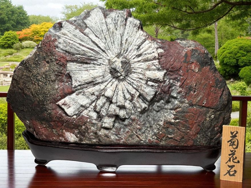 菊花石(クリサンセマムストーン)