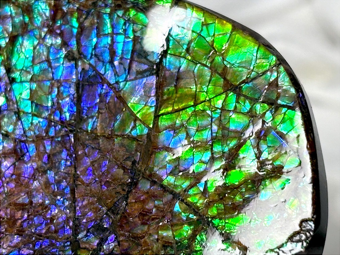 カナダ・アルバータ州産 アンモライト / Ammolite