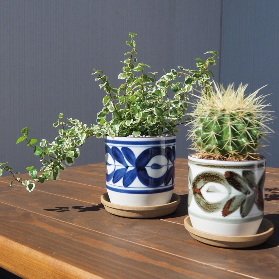 植器 HASAMI-made 波佐見焼で作られた磁器鉢 ＜廻り花青 85mm＞ | 園芸