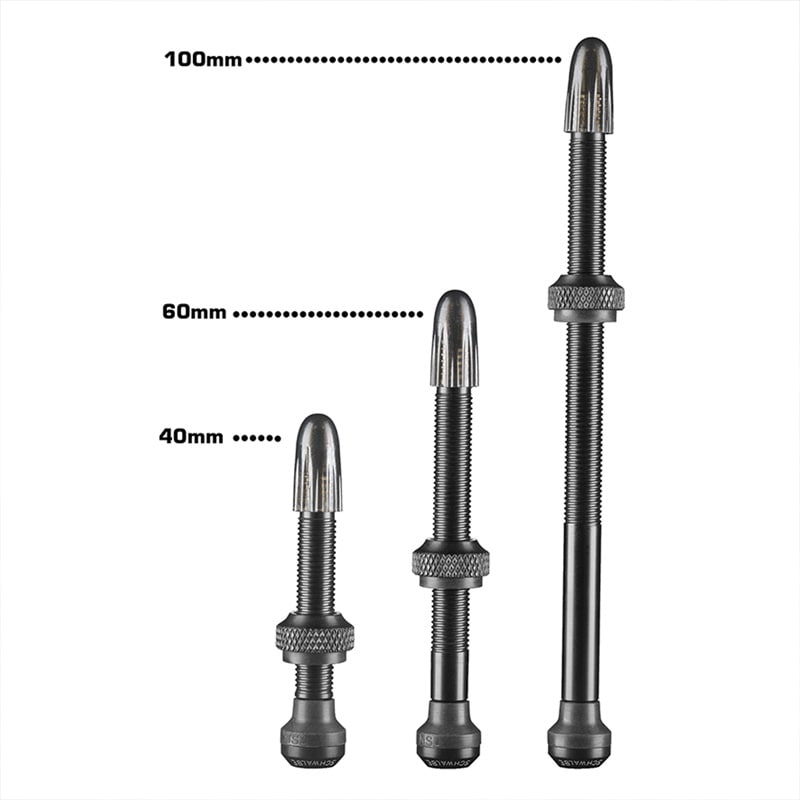 シュワルベ チューブレスバルブ 40mm 2本入り | ロードバイクパーツ