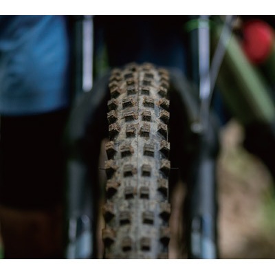 マキシス ショーティー 29インチ WT チューブレスレディ フォルダブル