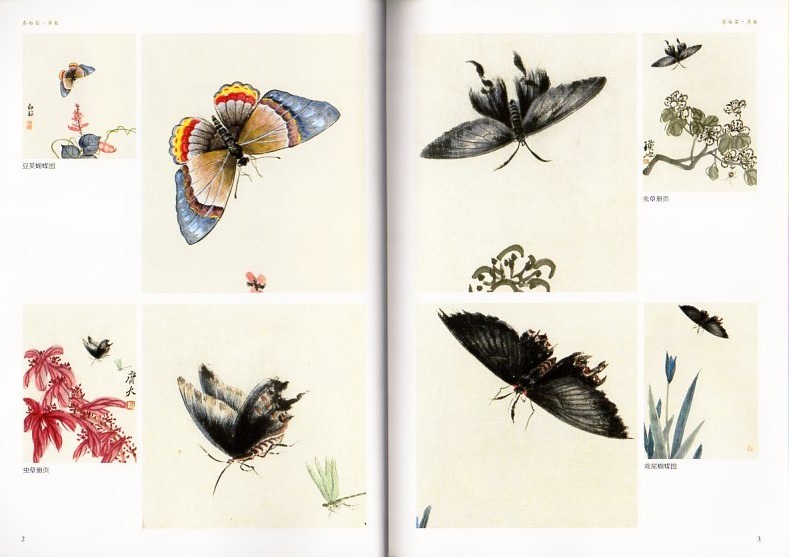 草虫 斉白石 彩墨絵画集 中国絵画/草虫 齐白石 | 中国美術 芸術