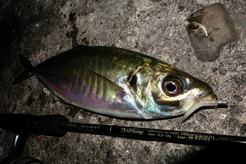 BlueCurrent 73 All-Range TZ/NANO PROFESSOR “ELITE” | LIMITED ROD