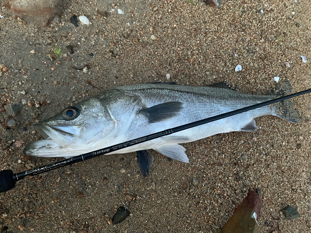 BlueCurrent 73 All-Range TZ/NANO PROFESSOR “ELITE” | LIMITED ROD