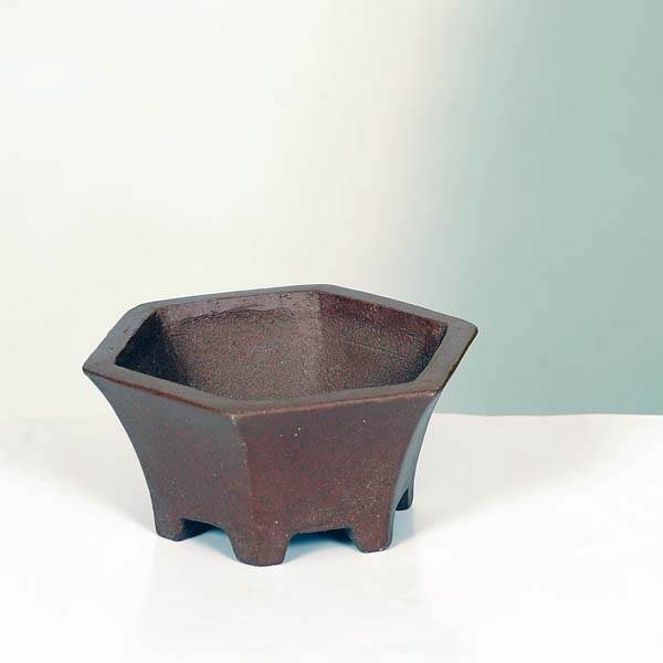 現代小鉢：柴勝 六角鉢 10.4cm【現】 | すべての商品 | 遊恵盆栽 本店