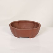 盆栽鉢・水盤,現代小鉢,柴勝(しばかつ） | 遊恵盆栽 本店