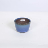 盆栽鉢・水盤,現代小鉢,山秋 | 遊恵盆栽 本店