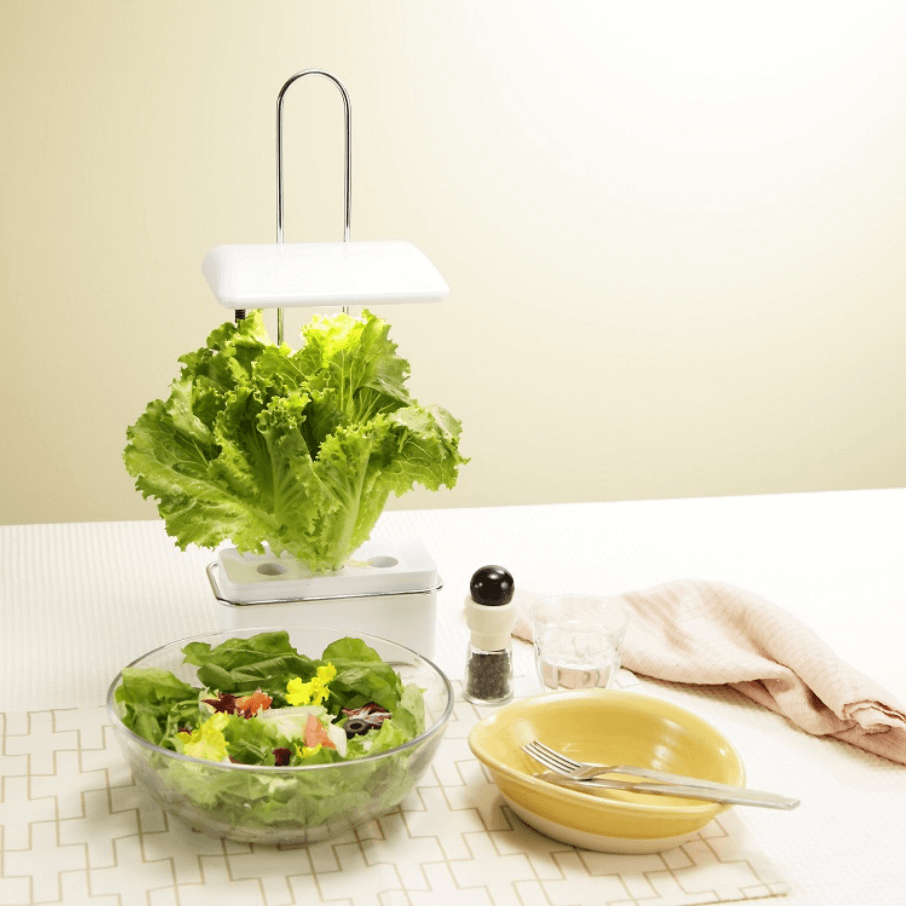 LED水耕栽培器 灯菜15 Akarina15｜ガーデニング用品のアグリオショップ