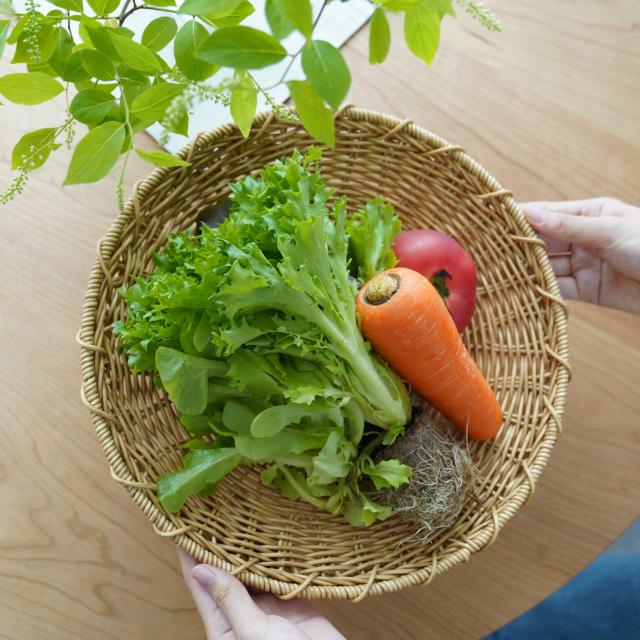 洗えるザル ラウンドL ｜ 四季折々のおしゃれな和食器通販サイト