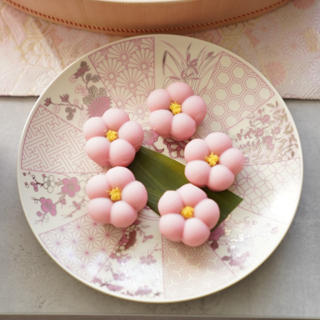 金襴 古伊万里 7号皿 紅（化粧箱入り）FOURGRACEオリジナル ｜ 四季