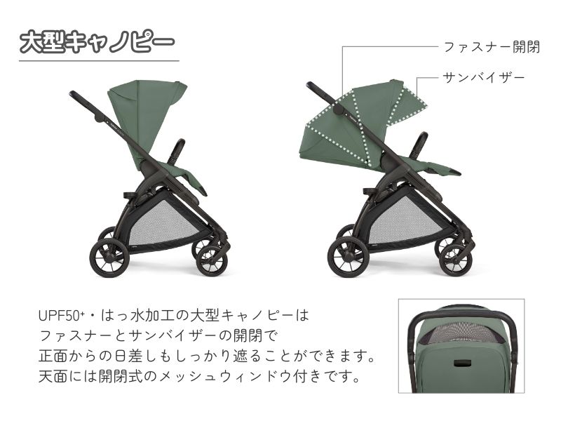 イングリッシーナ エレクタ【最短翌日発送・安心の3年保証