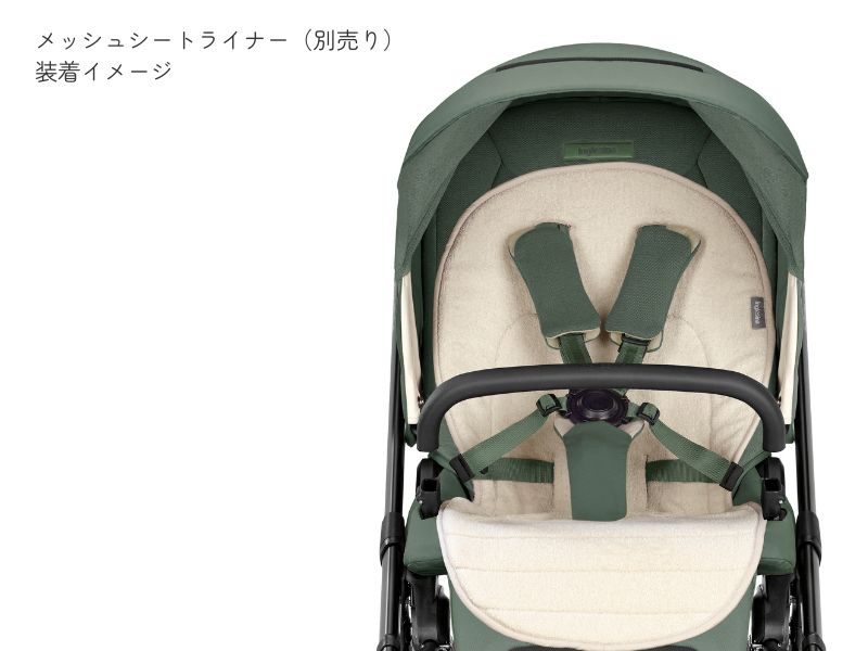 イングリッシーナ エレクタ【最短翌日発送・安心の3年保証