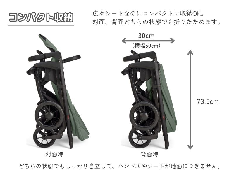 イングリッシーナ エレクタ【最短翌日発送・安心の3年保証