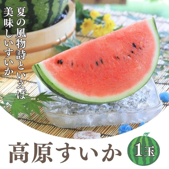 S709 高原すいか A等級 2L(約7㎏) 1玉入 JA松本ハイランド産 7月下旬