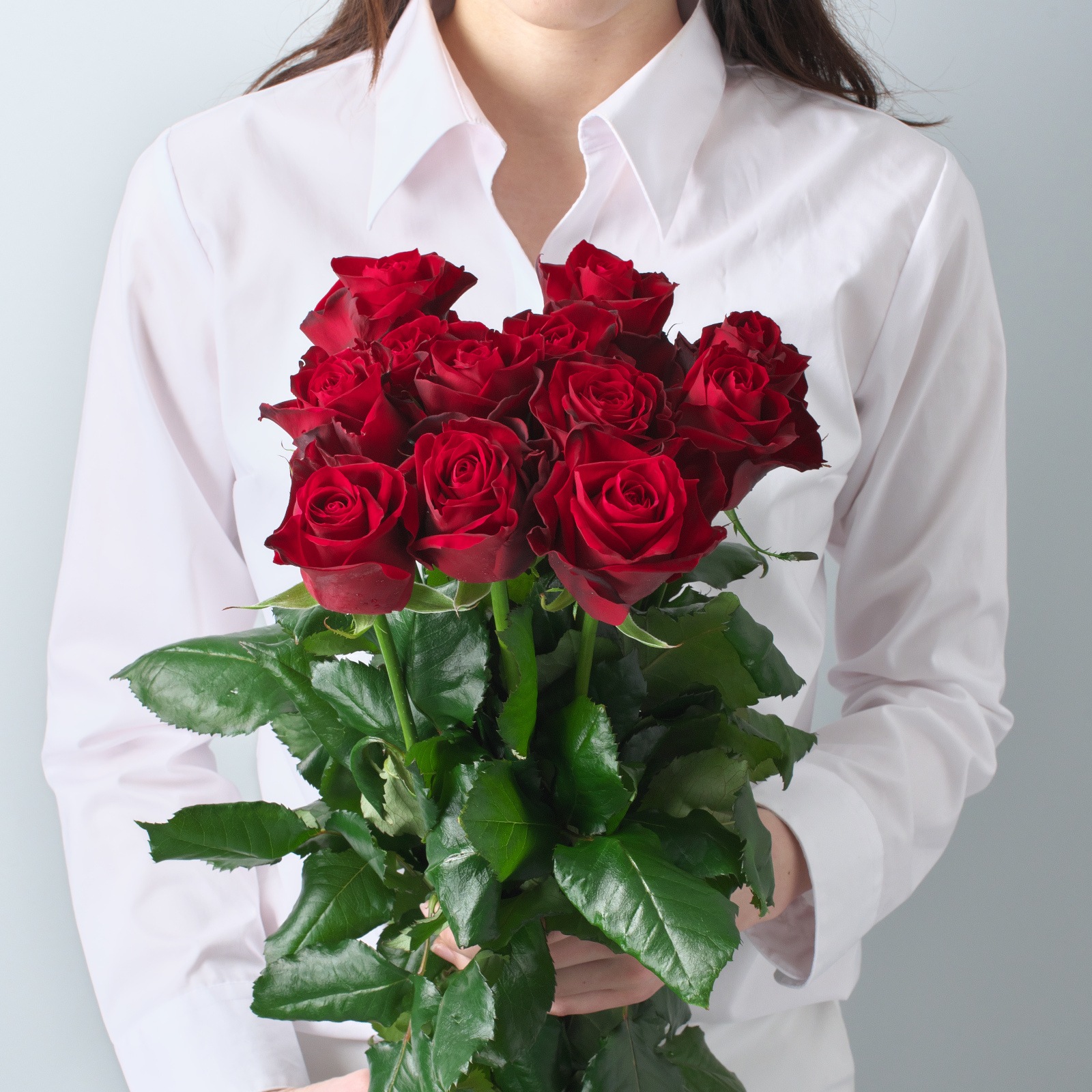 レッド_アマダ＋ 6本束｜バラの花専門通販KUNIEDA