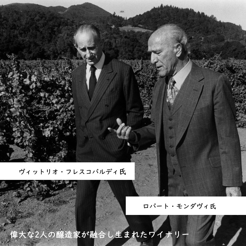 テヌータ・ルーチェ ルチェンテ 2022 750ML｜Your Cellar（ユアセラー