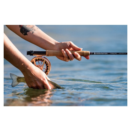 TRACE | 特価品を探す | WALTON'S INC