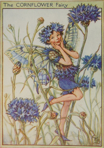 シシリー・メアリー・バーカー 挿画本「花の妖精・庭」 | | アトリエ